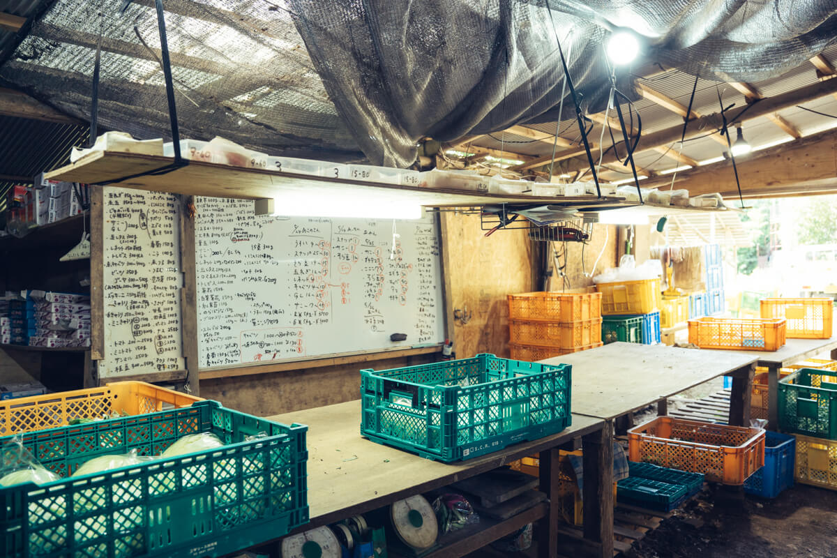 松風カンパニー