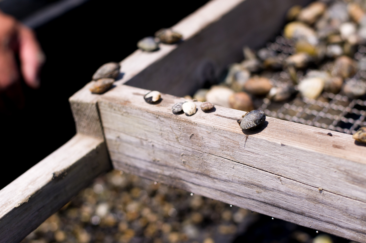 浦村町浦村カキファーム